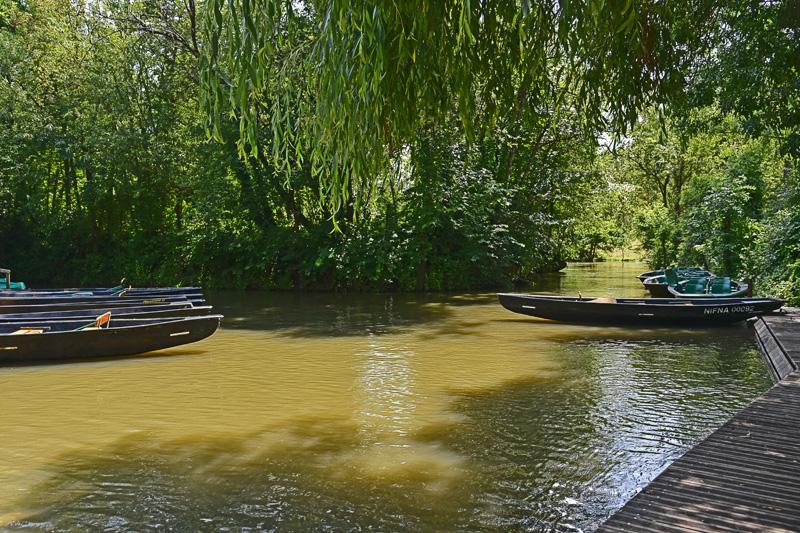 min 2025 06 08 Marais Poitevin 175